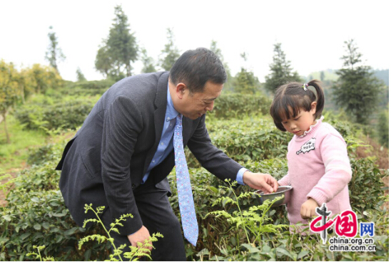 “文明中华生态茶叶基地”落户安顺